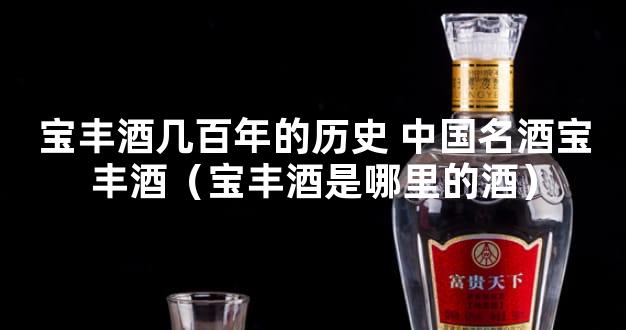 宝丰酒几百年的历史 中国名酒宝丰酒（宝丰酒是哪里的酒）
